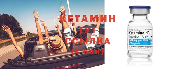 крисы Няндома