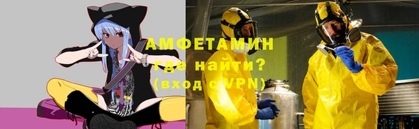 крисы Няндома