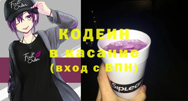 крисы Няндома