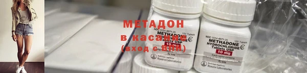 индика Новозыбков