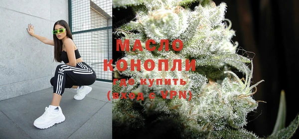 крисы Няндома