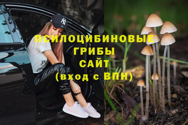 ALPHA-PVP Нязепетровск