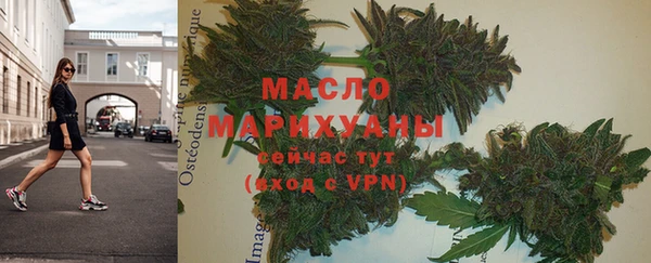 крисы Няндома