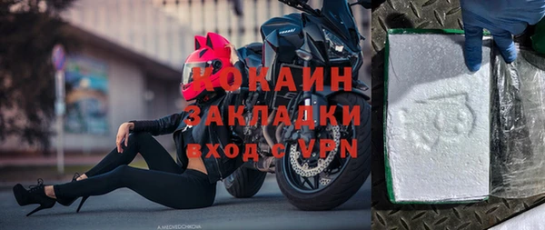 крисы Няндома