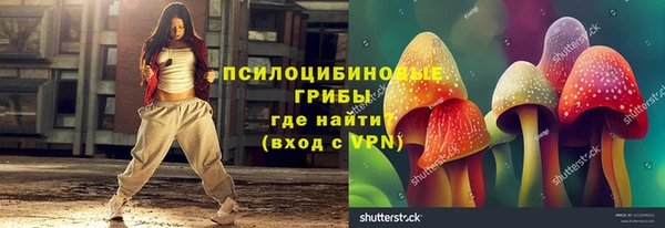крисы Няндома