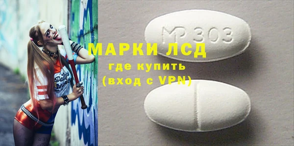 индика Новозыбков